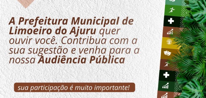 Consulta Pública – PPA 2026–2029 – Limoeiro do Ajuru/PA
